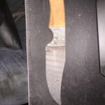 Found this old boy on a snowmobile trail