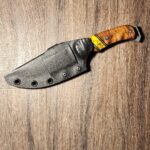 NKD - HFB Tosahwi, meaning "White Knife", a Penateka Comanche Chief, circa 1805/10 - 1878/80.