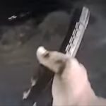 What flashlight is this cop using?