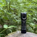 [NLD] Very tiny Zebra