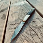 Barlow by the pool 🏖️