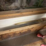 Knife I found in Smokey mountain Knife Works