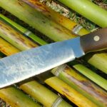 Bamboo did a number on the factory edge. Fixed it with DMT plates.