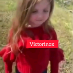 Victorinox vs Gerber