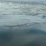 My favorite knife currently in my collection :) what’s y’all’s fav?