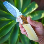 Herecus Blomerus HB21