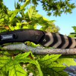 Back from my local pawn shop again!