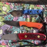 My “little knife “ collection