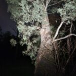 HD15R's unlimited possumbilities