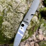 Out way back w the swayback