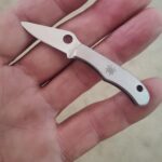 I have a tiny Spiderco.