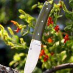 Really digging Civivi's fixed blade game