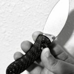 Can anyone think of a better Shilin Cutter?