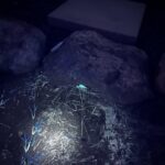 If you have scorpions around get a 365nm UV light and a visible light filter. I was shocked by how far away I could see them.