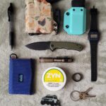 I just like Chickens