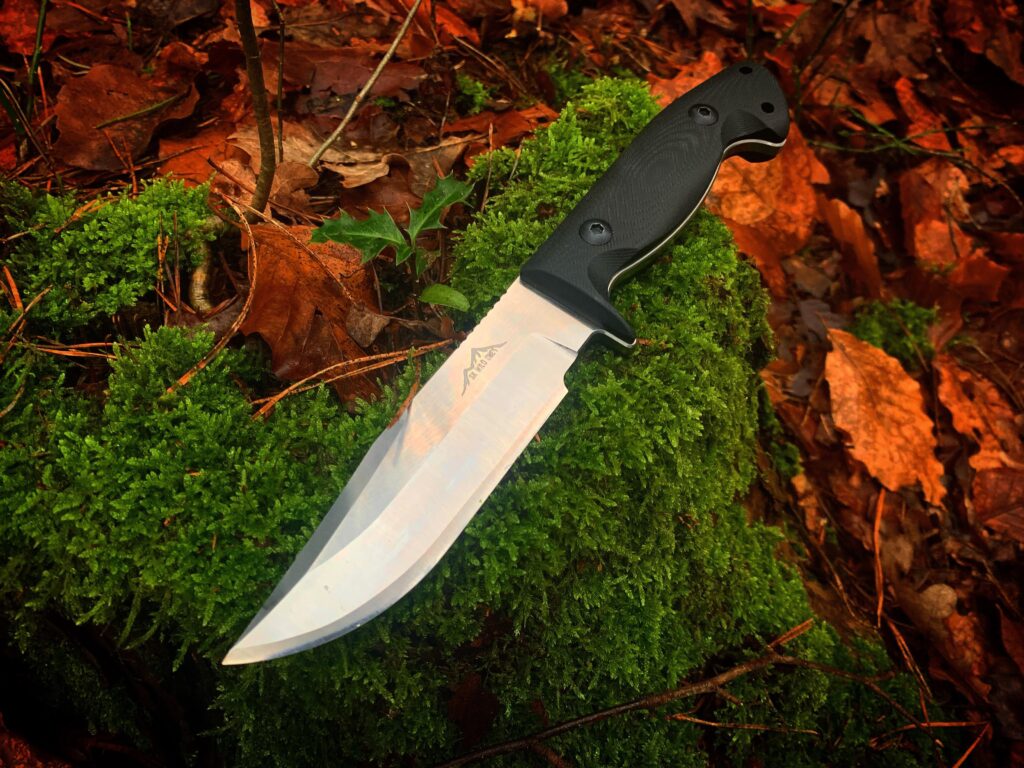 SK Wild Ones Freya