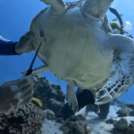 Spyderco putting in good work