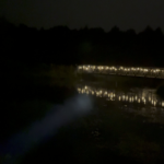 Z1 with W5050SQ3 zoomed in, how satisfying.