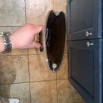 What should I put in here?