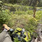 Little trip into the forest today was cool