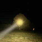 DM 1.12 SFT/SST vs KR1 SBT 90.2