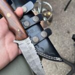 Could anyone tell me about what knives these are? Google search doesnt really match the logo on the knives