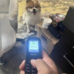 Cheap AliExpress torch