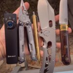 Yeah I’m Crazy… Crazy Like a Shark!