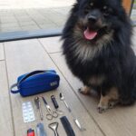 Including Diesel the dog