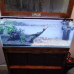 Always enjoy when my hobbies collide. And LED swap on the aquarium light bar does wonders for the look of the tank.