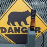 Thanks to this little corner of the internet, I've taken my first step into a wider world.