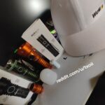 First Proper Flashlights — Thrower + Flooder × Extender 💚×🧡