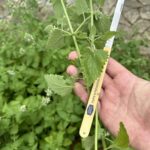 what’s the last thing you cut?