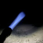 Newborn enthusiast Follow up