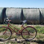 Found knife day FKD. Looks like it got snagged when someone slid off the bails.