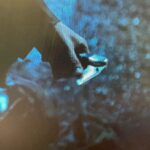 Excuse me filmmakers, that is not how you deploy a knife.