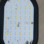 NLD Ten dollar score