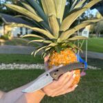 Update on the Pineapple. Fixing to be 🔥