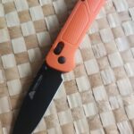 A wild meme appears!