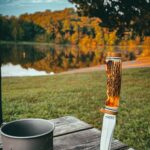 Somehow this $ 29.99 knife turned into my one for everything.