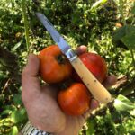 New patterns (likely) coming from GEC and old favorites