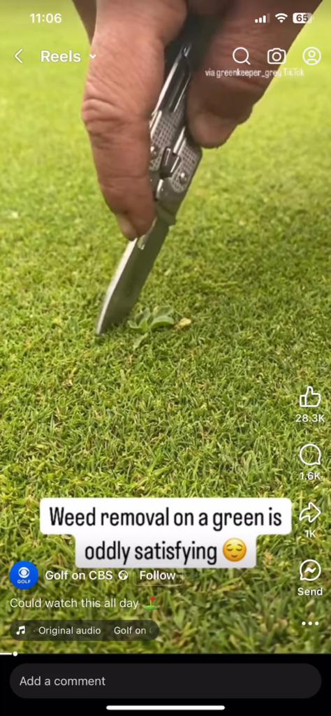 which multitool is this?