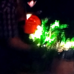 What flashlight is this?