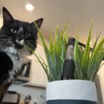 NLD Convoy S6 w/ W1 and Ti tube