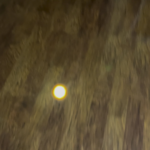 Want a LEP but can’t justify it? Buy a dog toy.