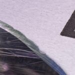 S35VN Chipping- White River