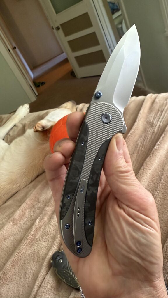 WE Knife Zizzit [2268 x 4032]