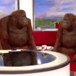 What happened to W2 6000k LED in hanks website. I cant find it anywhere. Did he run out?