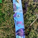 Takin the wifie out for sushi later