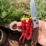 what’s the last thing you cut?